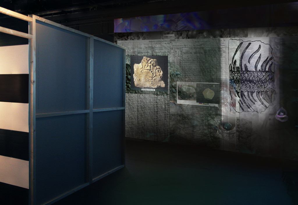 Joey Holder, 'Multifunctional Gel Fertilizer' (2015) @ Plague of Diagrams. Installation view. Courtesy the artist.