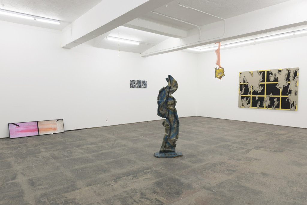 Basic Instinct (2015). Exhibition view. Courtesy Seventeen, London.