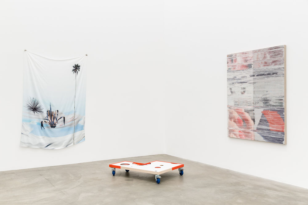 Catfish (2015). Exhibition view. Courtesy Anat Ebgi, Los Angeles.
