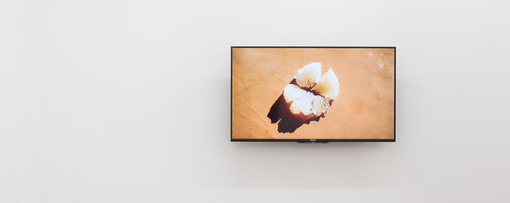 Jala Wahid, 'I am a charm' (2015). Video. Install view. Courtesy Seventeen, London.