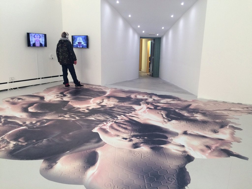 Joey Holder, 'Dark Creatures' (2015) @ The Uncanny Valley. Installation view. Courtesy the artist.