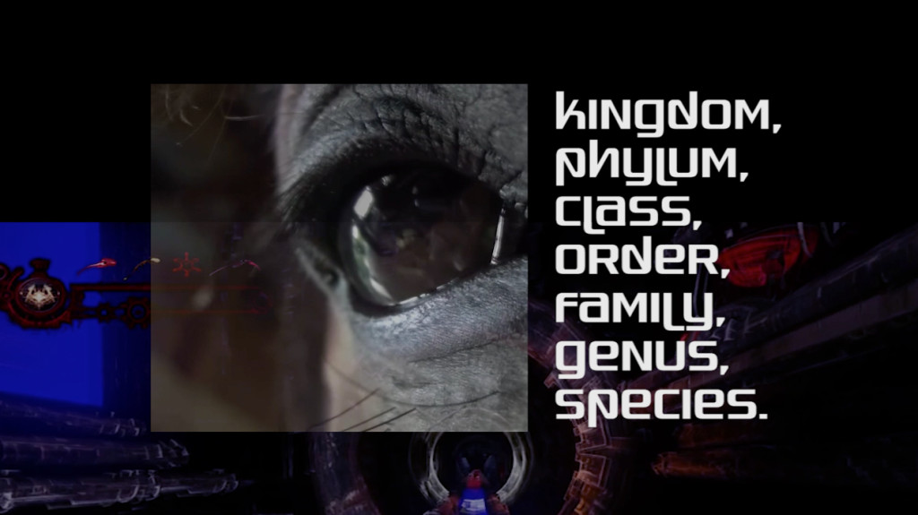 Joey Holder, 'Dark Creatures' (2015). Video still. Courtesy the artist.