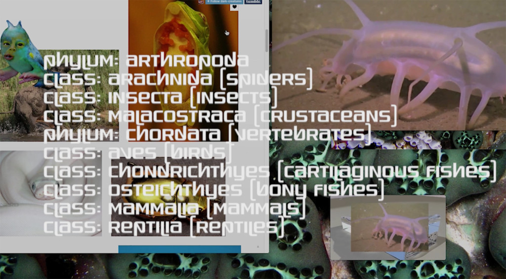 Joey Holder, 'Dark Creatures' (2015). Video still. Courtesy the artist.