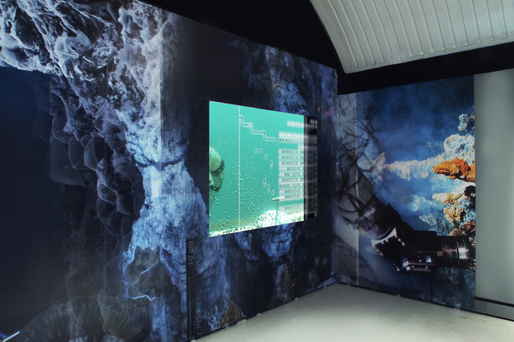Joey Holder, Nematode (2015) @ Wysing Arts Centre. Installation view. Courtesy the artist.