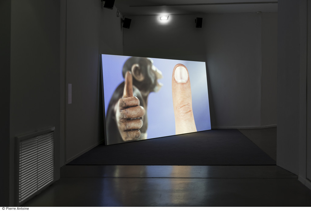 Co-Workers – Network as Artist (2015). Exhibition view. Courtesy Musée de l’Art Moderne de la Ville de Paris.