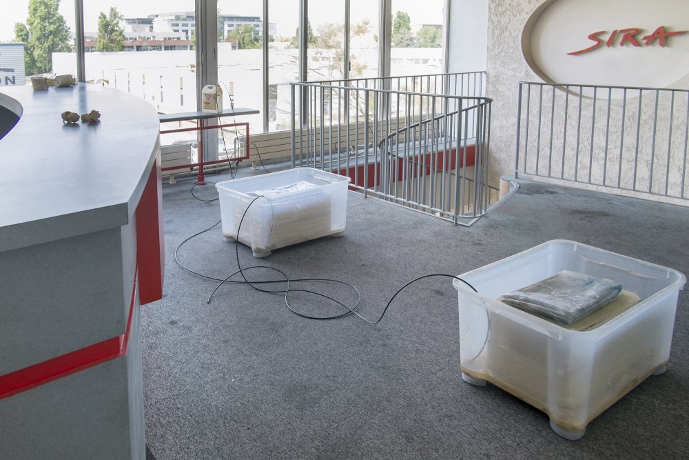Antoine Donzeaud + Hubert Marot, Mr. Vertigo (2015). Exhibition view. Courtesy La Sira.