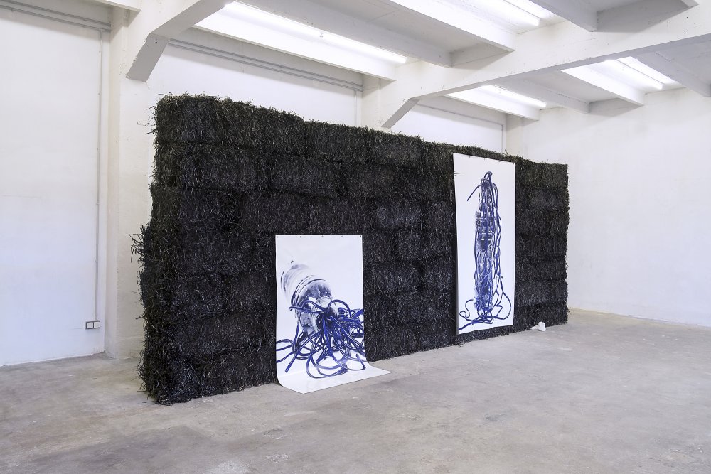 Aline Bouvy, 'Sorry I slept with your dog' (2015) Exhibition view. Courtesy Exo, Paris.