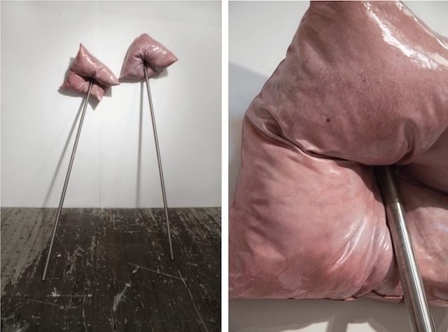 Ivana Basic, ‘World is all of one skin’ (2014). Courtesy the artist.