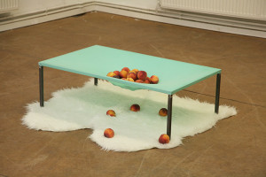 Tenderhooks, Hannah Regal 2013