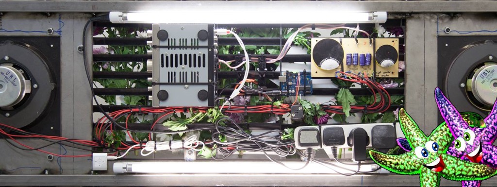 Joe Highton, ‘STARFISH/Pissing Into Plug‘ for Limbo Limbo (2016). Courtesy the artist.