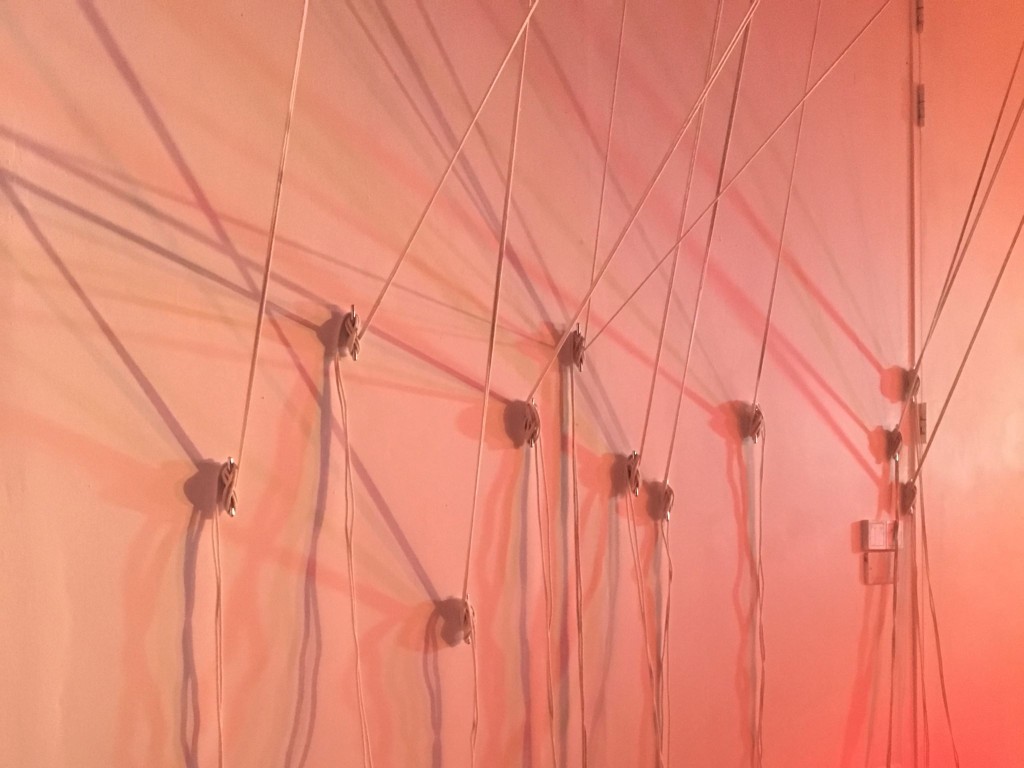 Alex Margo Arden. Install shot, image for Gathering Place (2016). Courtesy the artist.