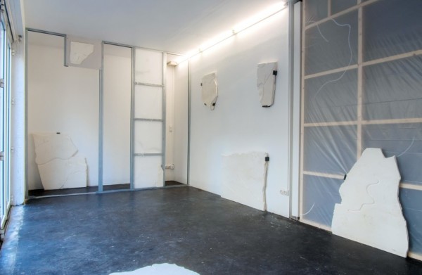 Pieter van der Schaaf, CHOU CHINOIS (PAKCHOI) (2015) Exhibition view. Courtesy Glassbox, Paris. 