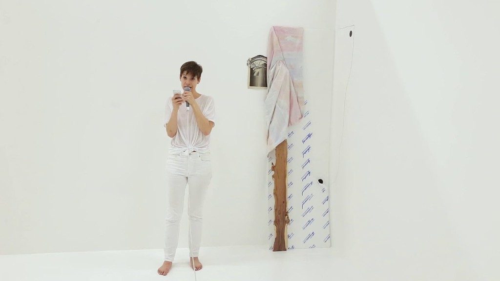 Sophie Jung, The Servant Problem (White House Cornered), video still from performance documentation (2015). Courtesy the artist