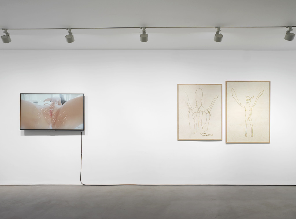 Sidsel Meineche Hansen, SECOND SEX WAR (2016). Installation View. Photo by Andy Keate. Courtesy the artist + Gasworks, London.
