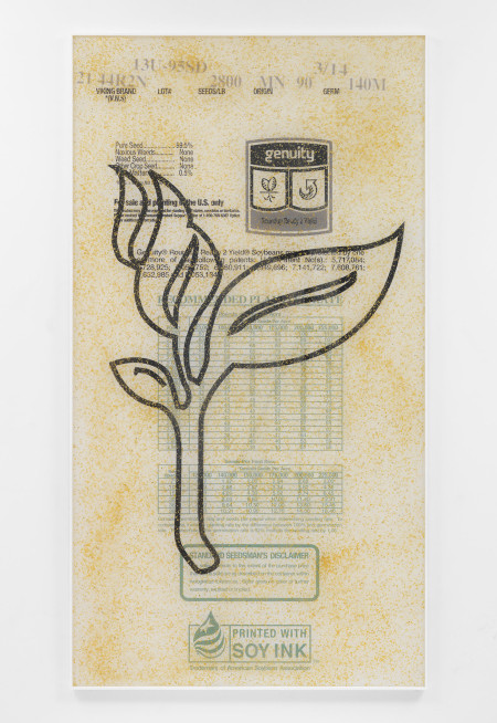 Artie Vierkant, 'Plant expression constructs 4, Soybean MON89788 (Exploit)', (2015). Courtesy the artist.