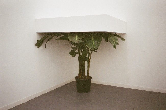Elise Lammer, courtesy the artist.