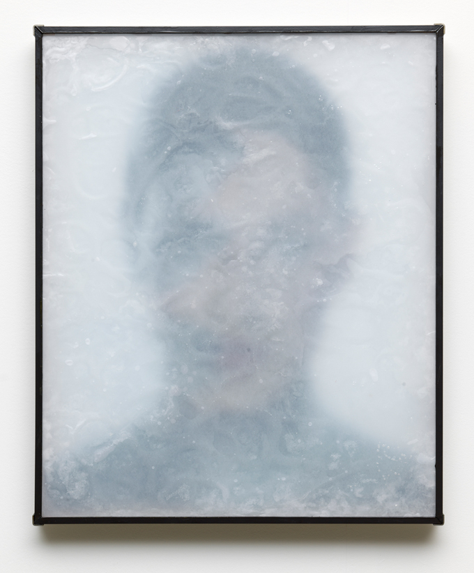 Lennart Lahuis, 'Fluid Skin' (2015). Courtesy the artist.