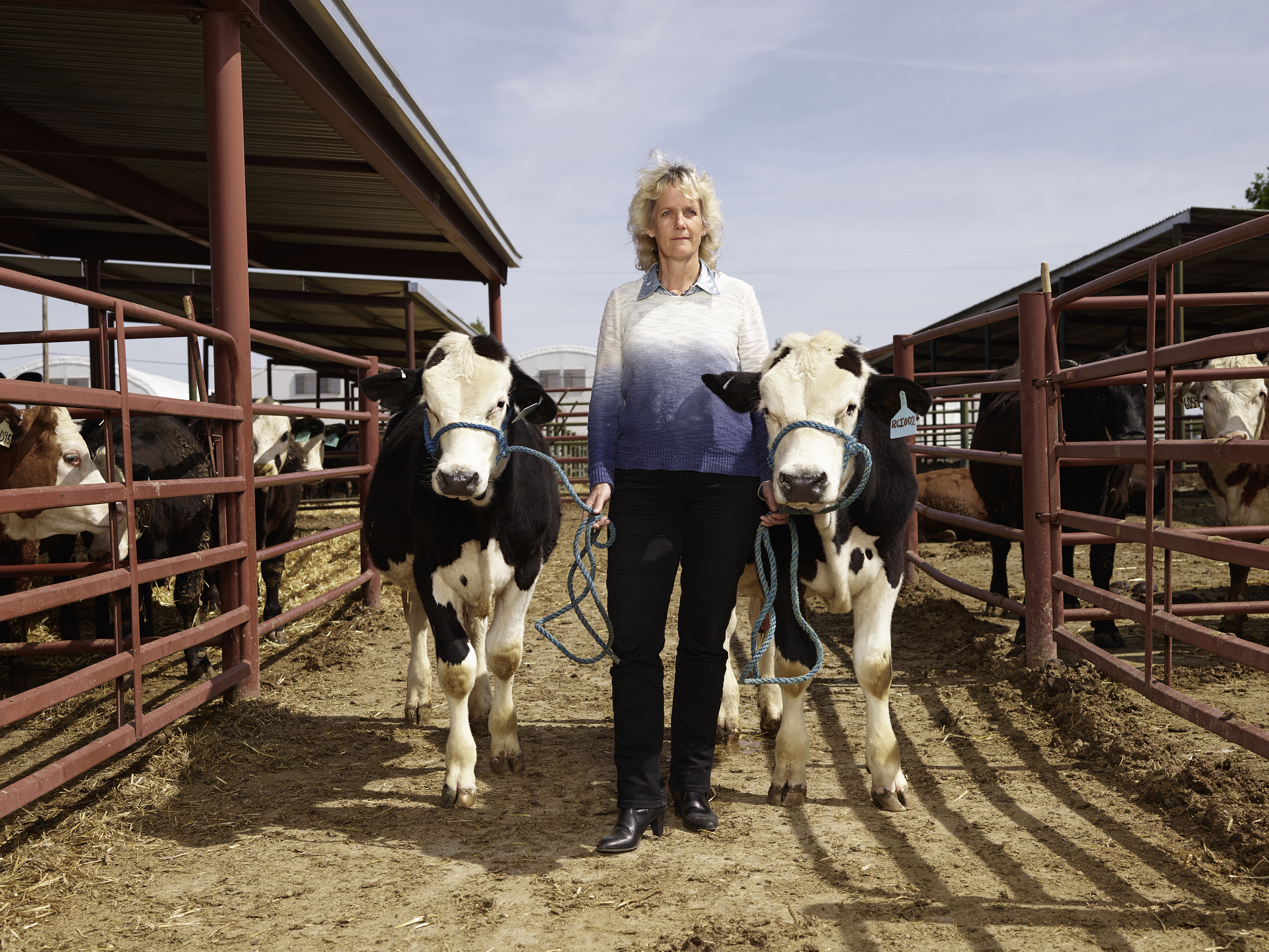 Aleksandra Domanović , Bulls Without Horns (2016). Courtesy Tanya Leighton, Berlin.