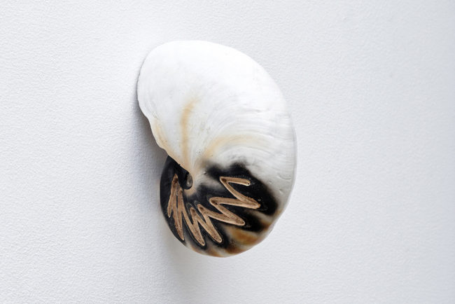 Rasmus Myrup, 'Shell with Geometric Markings (After Homo Erectus)', 2015. Courtesy the artist 