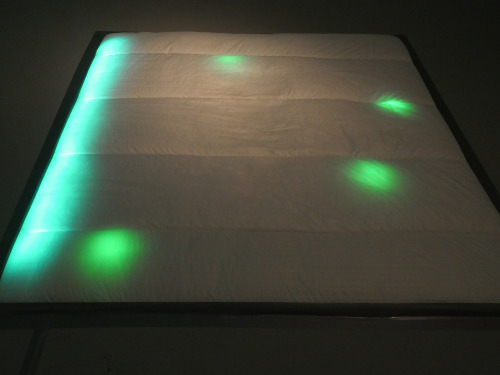 Cara Tolmie, Pilot (2015). Installation view. Courtesy the artist and Rowing Projects, London