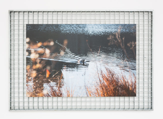 Dena Yago, Do you Ever Feel like a Plastic Bag? (2014). Courtesy the artist and the Hammer Museum, LA