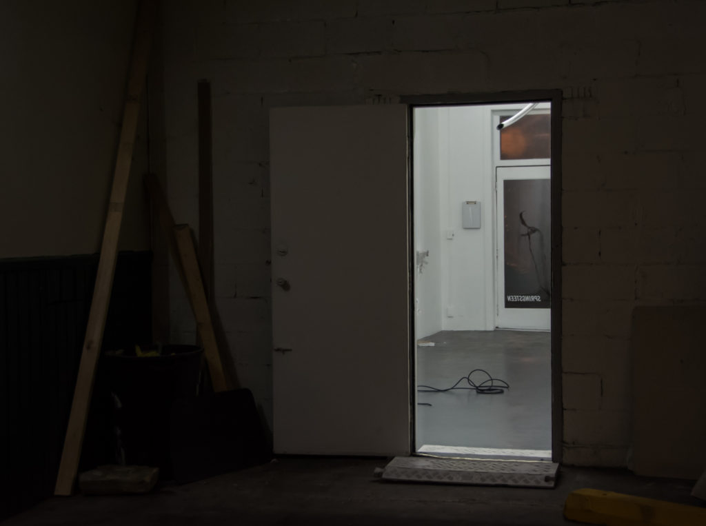 Erika Ceruzzi, Laundered Fang (2016). Exhibition view. Springsteen, Baltimore.