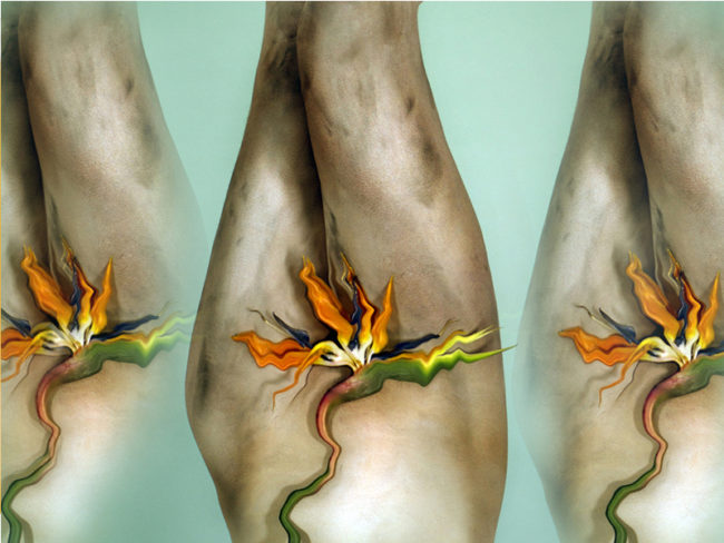 Lotte Meret Effinger, Cosmetic (2014). Courtesy the artist.