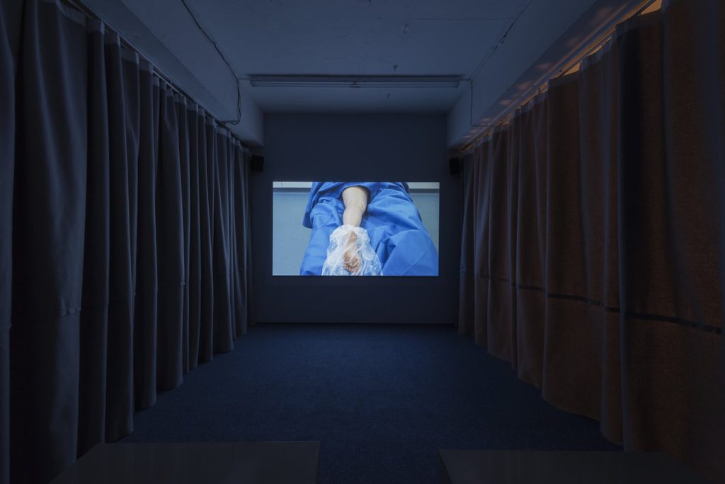 Marianna Simnett, ‘Blue Roses’ (2015). Installation view. Photo by Damian Griffiths. Courtesy the artist + Seventeen, London.