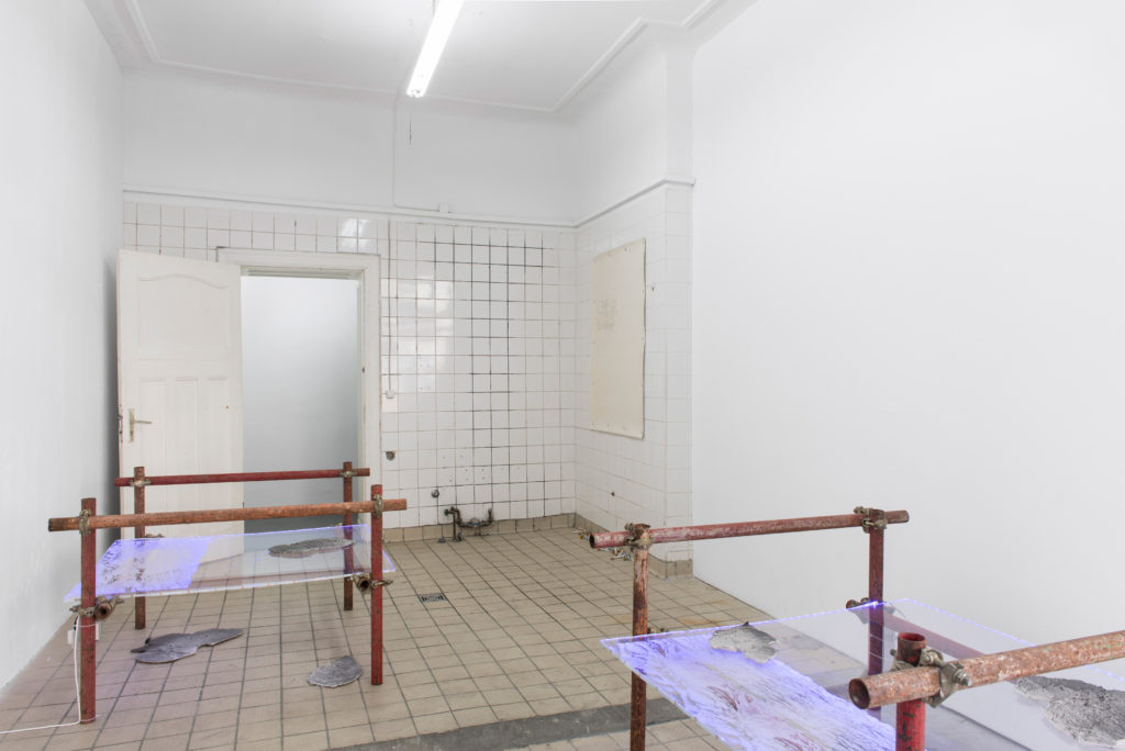 Valinia Svoronou, The glow pt2: gravity regimes (2016). Exhibition view. Photo by Trevor Llyod. Courtesy the artist + Frankfurt am Main, Berlin.