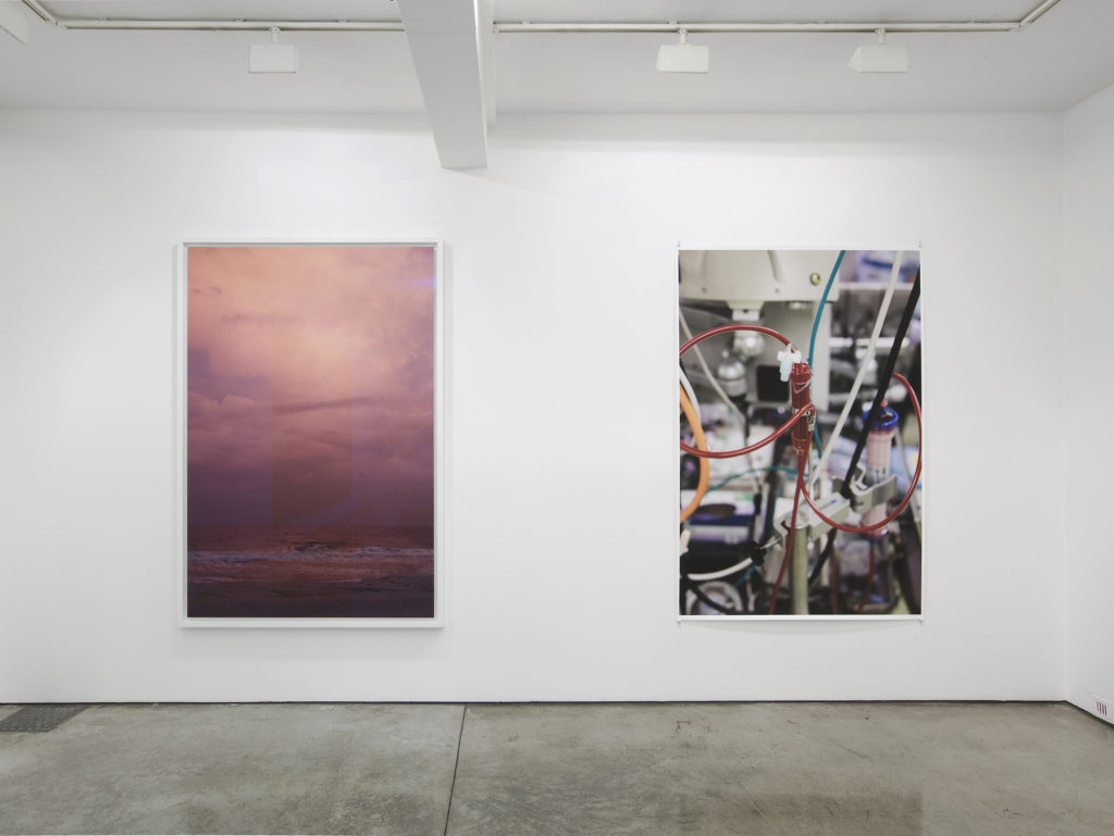 Wolfgang Tillmans exhibition view (2016) @ Maureen Paley, London.