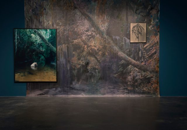 Esther Teichmann, 'Mondschwimmen, Zephyr', (2015). Installation view. Courtesy of the artist + Reiss­‐Engelhorn Museum.