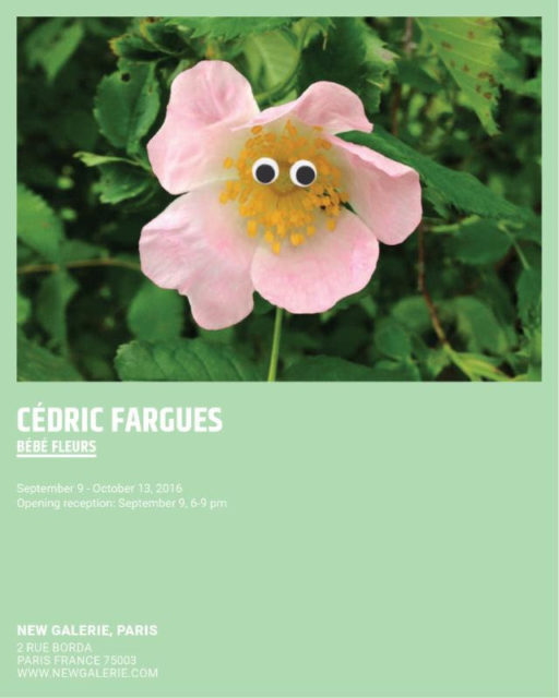 Cédric Fargues @ New Galerie, Sep 9 - Oct 13