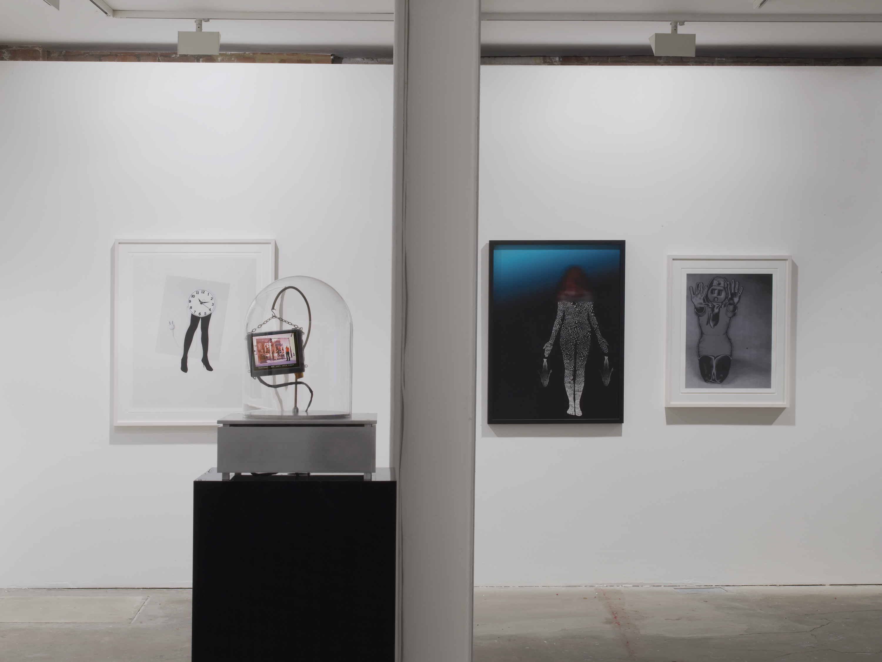 Lynn Hershman Leeson, Trans Genesis: Evaporations and Mutations (2016). Courtesy Vilma Gold, London.
