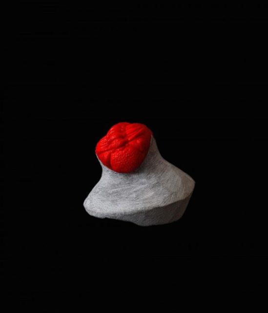 Katja Larsson @ Cecilia Hillström Gallery, Oct 6 - Nov 12