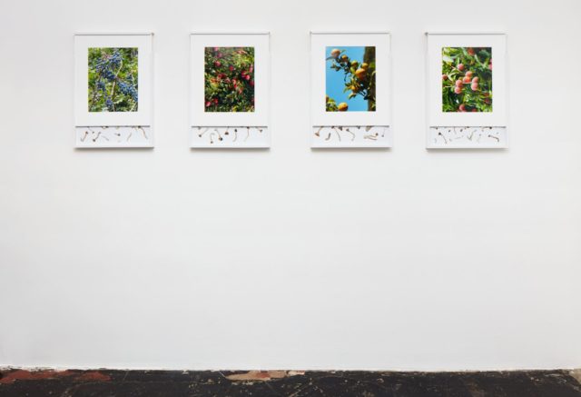 Brad Troemel, (2016). Installation view. Photo by Calle Tillberg. Courtesy the artist and LOYAL, Stockholm.
