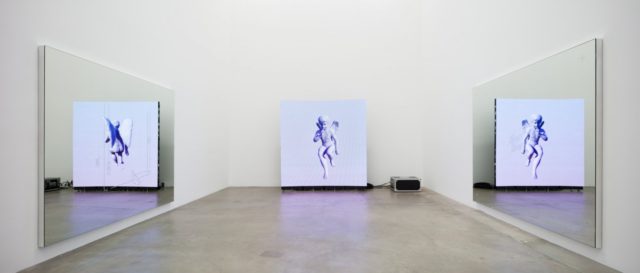 Chris Coy, A Little Death (2016). Installation view.