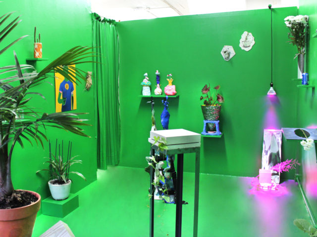 The Plant Show, (2016). Installation view. Courtesy 99¢ Plus Gallery, Brooklyn.