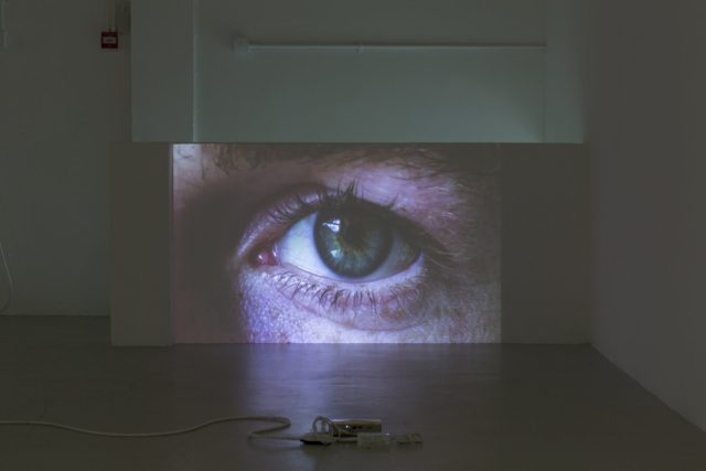 Gina Folly, Pleasures and Terrors (Jeremy) (2016). Installation view. Images courtesy of the Artist and Almanac, London