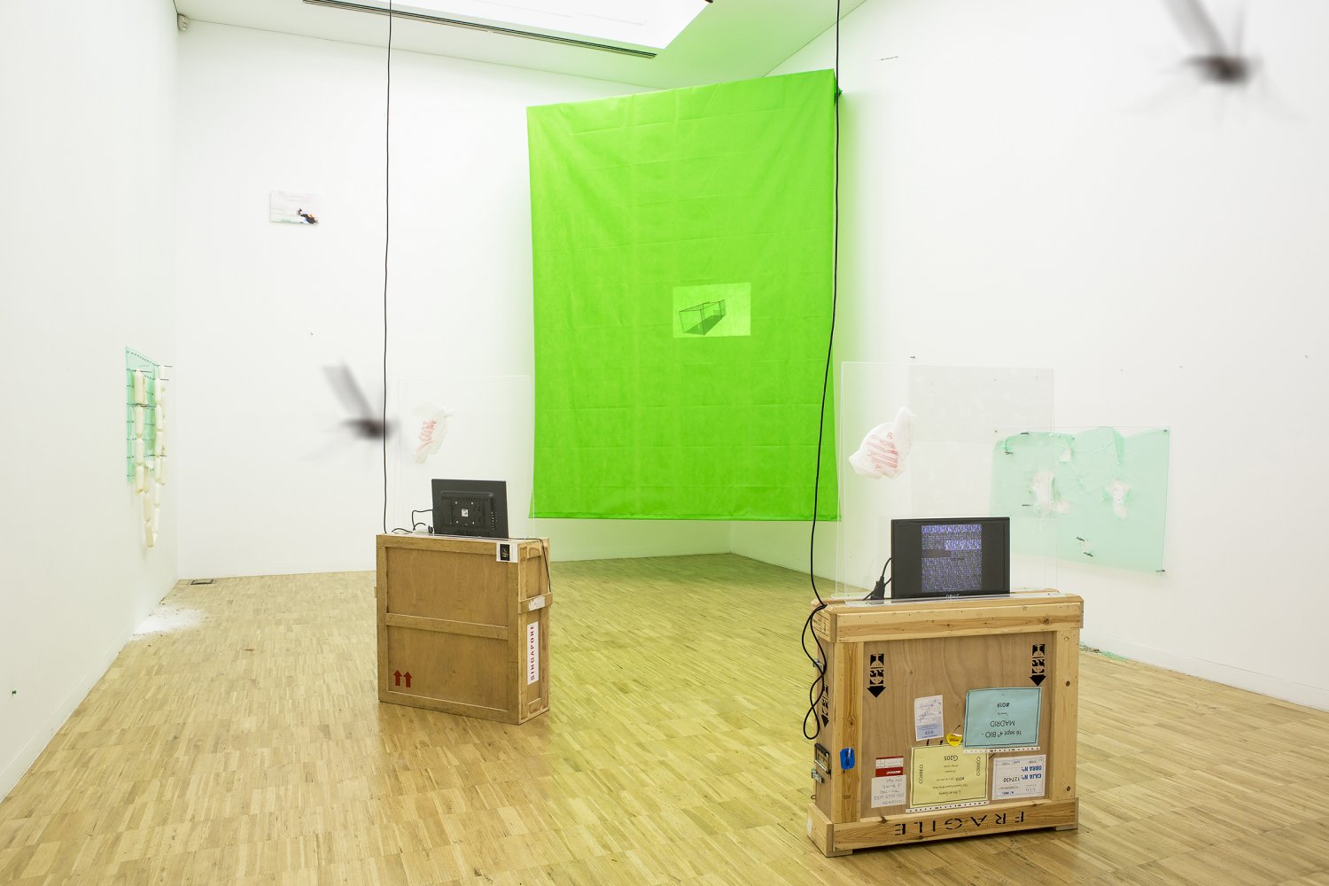 Javier Corzo, Alby Álamo, Ricardo Trigo, What's up glitches (2016). Exhibition view. Photography by Teresa Arozena. Courtesy of the artists + TEA Tenerife Espacio de las Artes, Spain.