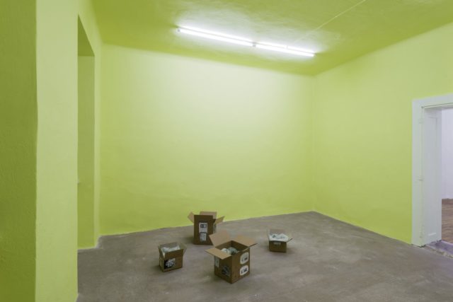 Marguerite Humeau, Black Mamba (2016) and The Mycological Twist, Primordia#Formation (2016). Installation view. Photo by Georg Petermichl. Courtesy the artists and Kevin Space, Vienna.